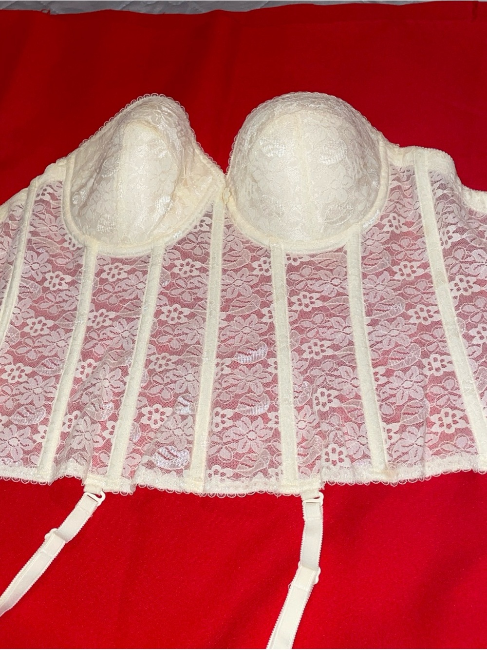 Dominique Ivory Lace Longline Bustier Bra